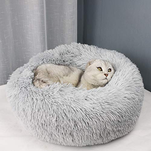 BODISEINT Modern Soft Plush Round Pet Bed for Cats or Small Dogs, Mini Medium Sized Dog Cat Bed Self Warming Autumn Winter Indoor Snooze Sleeping Cozy Kitty Teddy Kennel (M(23.6”Dx7.9 H), Light Grey)