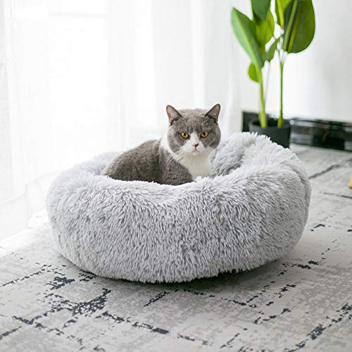 BODISEINT Modern Soft Plush Round Pet Bed for Cats or Small Dogs, Mini Medium Sized Dog Cat Bed Self Warming Autumn Winter Indoor Snooze Sleeping Cozy Kitty Teddy Kennel (M(23.6”Dx7.9 H), Light Grey)