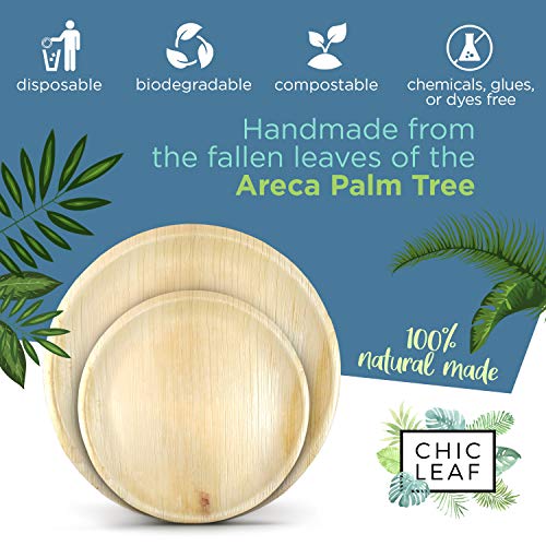 Chic Leaf Palm Leaf Plates Disposable Bamboo Plates Like 10 Inch & 7 Inch Round Party Pack (48 pk) Compostable and Biodegradable - Better than Plastic, Paper and Wood Plates